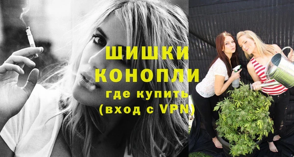 индика Лиски
