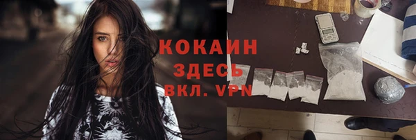 индика Лиски