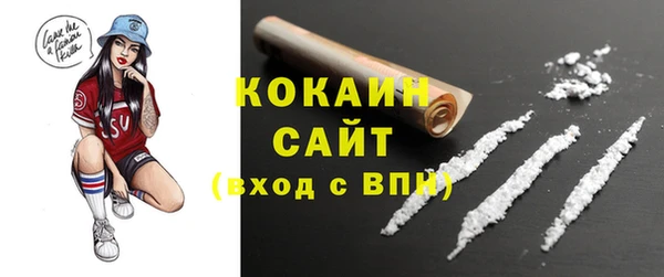 индика Лиски