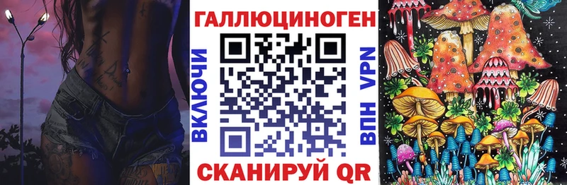 хочу наркоту  Талица  Галлюциногенные грибы Psilocybine cubensis 